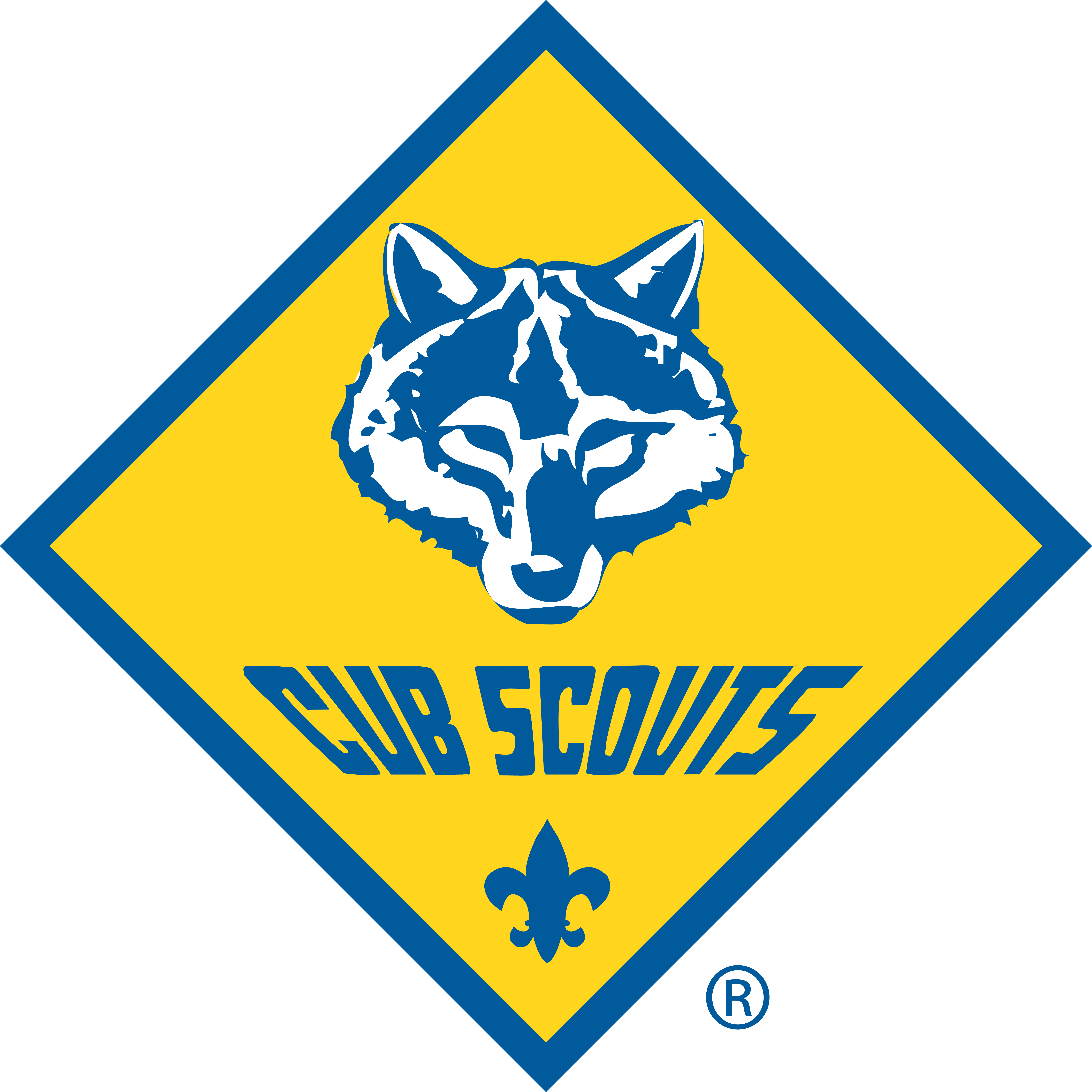 Cub Scouts Program