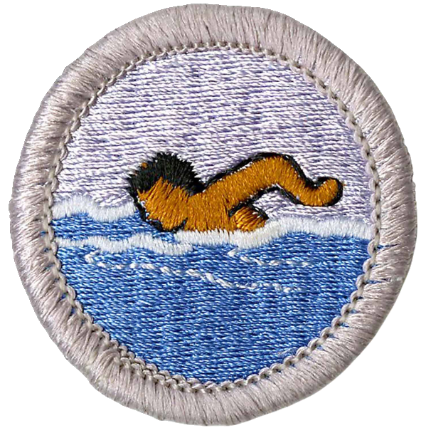 Merit Badges